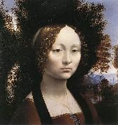 Leonardo  Da Vinci Portrait of Ginevra de' Benci oil painting artist